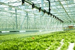 water filters for greenhouses
